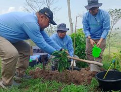 Tanam 1.000 Pohon, PLN NP Selamatkan Lahan Kritis di Tambak Ukir